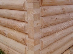 Дом 4×5 м в лапу, 20 м²